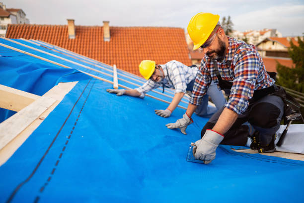 Roof Gutter Cleaning in Gilberts, IL